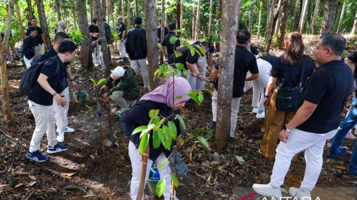 Langkah Strategis Otorita IKN Memulihkan Ekosistem Hutan Kalimantan Demi Visi Forest City